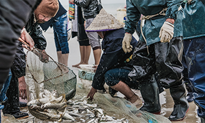 30年海鮮加工經驗