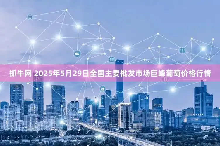 抓牛网 2025年5月29日全国主要批发市场巨峰葡萄价格行情